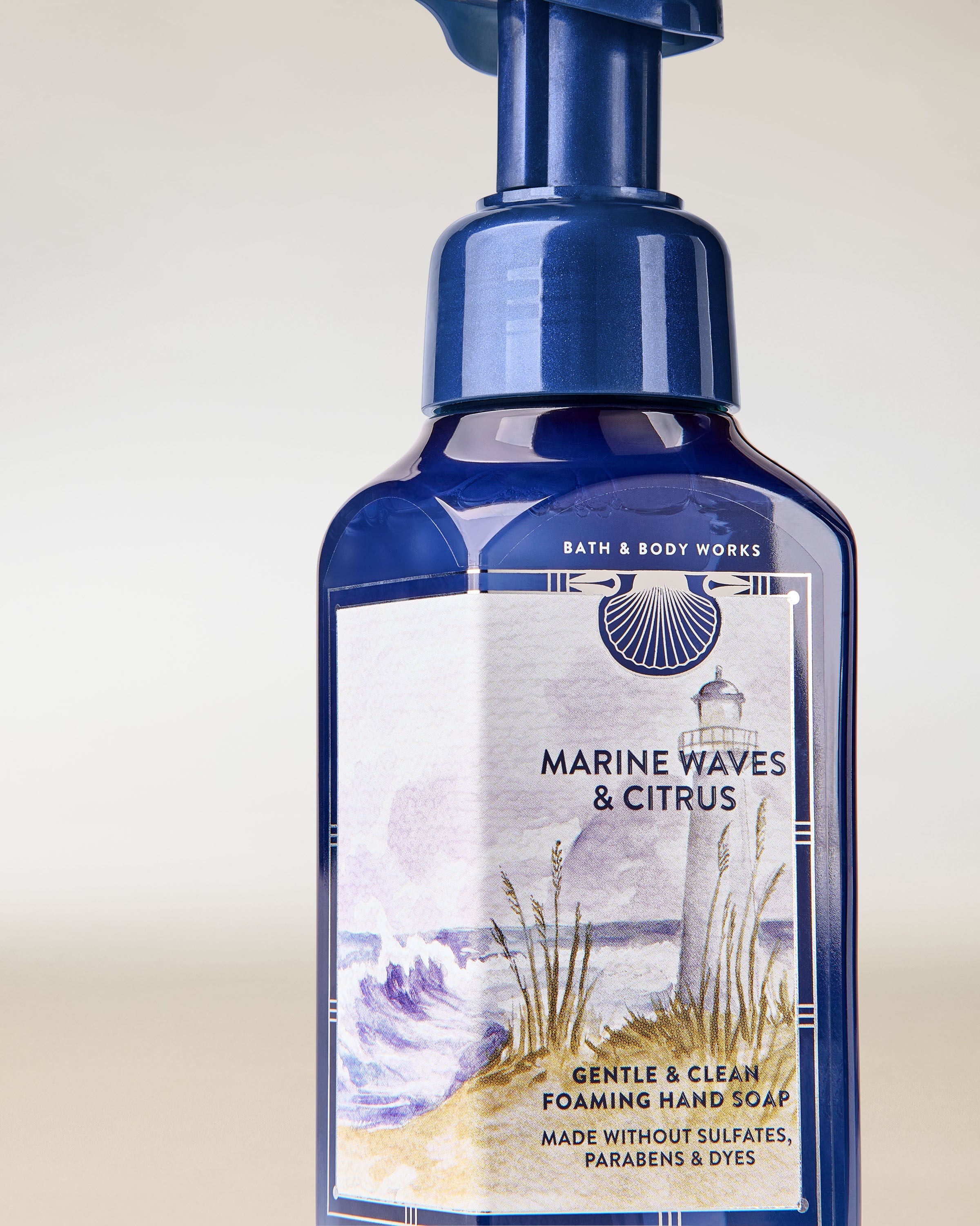 Gentle & Clean Foaming Hand Soap Marine Waves & Citrus 8.75 fl oz / 259 ml - Image 2