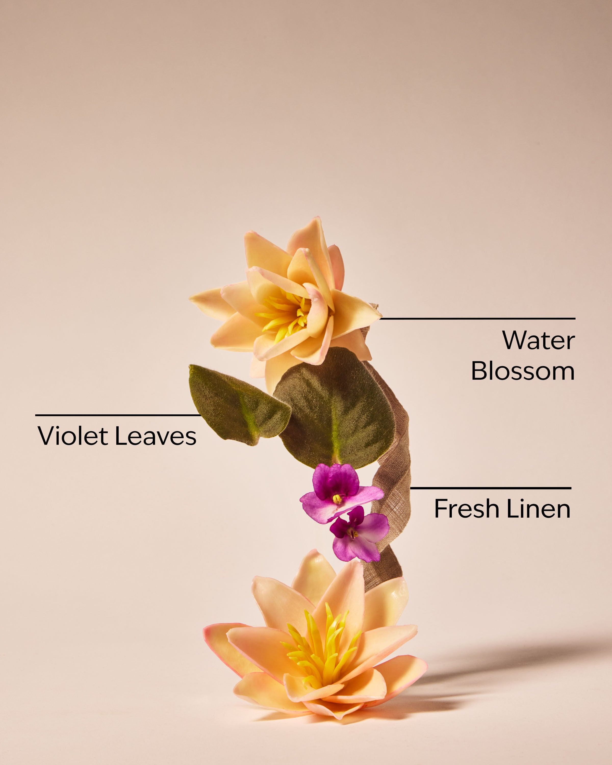 Fine Fragrance Mist Saltwater Breeze 8 fl oz / 236 ml - Image 3