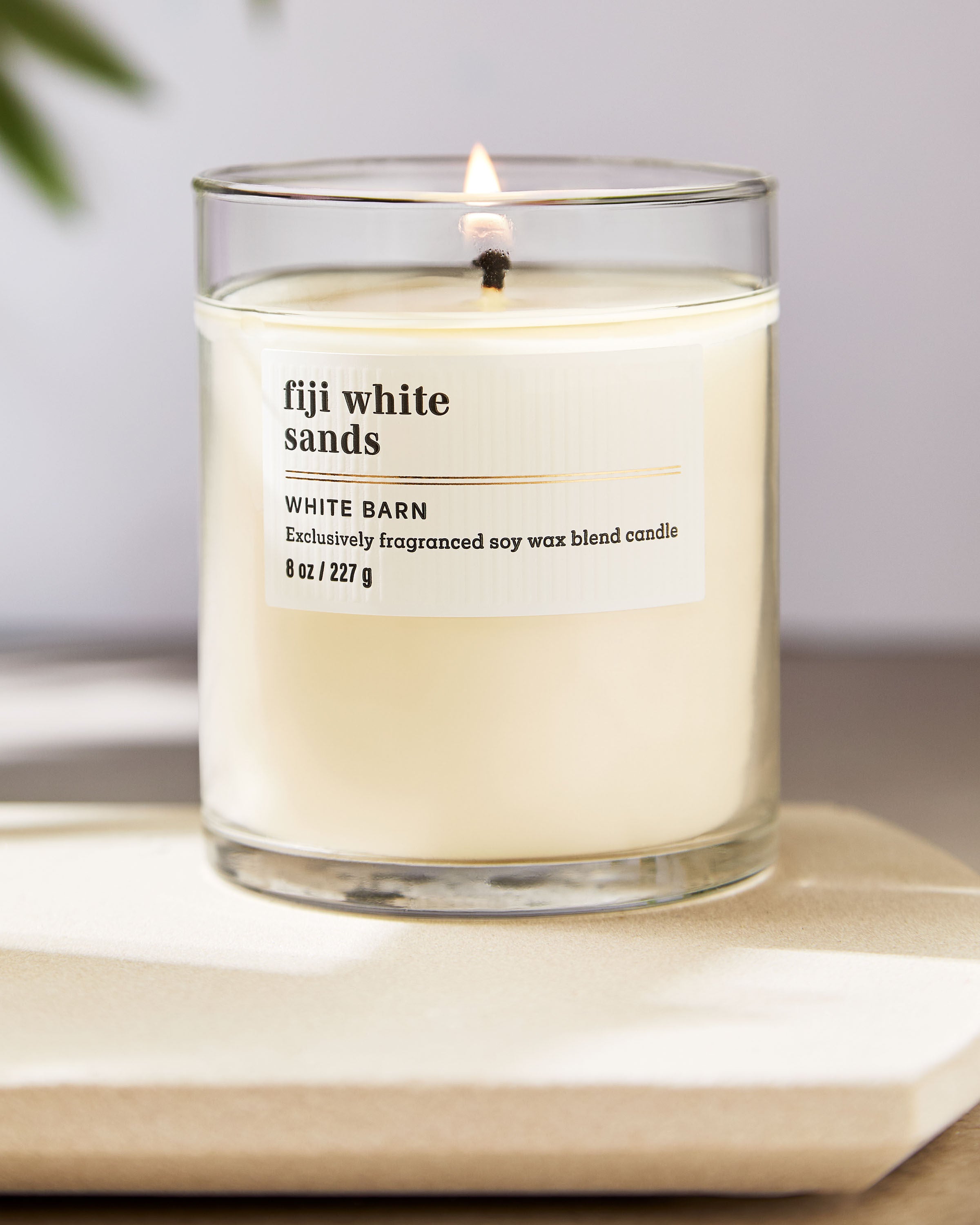 Single Wick Candle Fiji White Sands 8 oz / 227 g - Image 5
