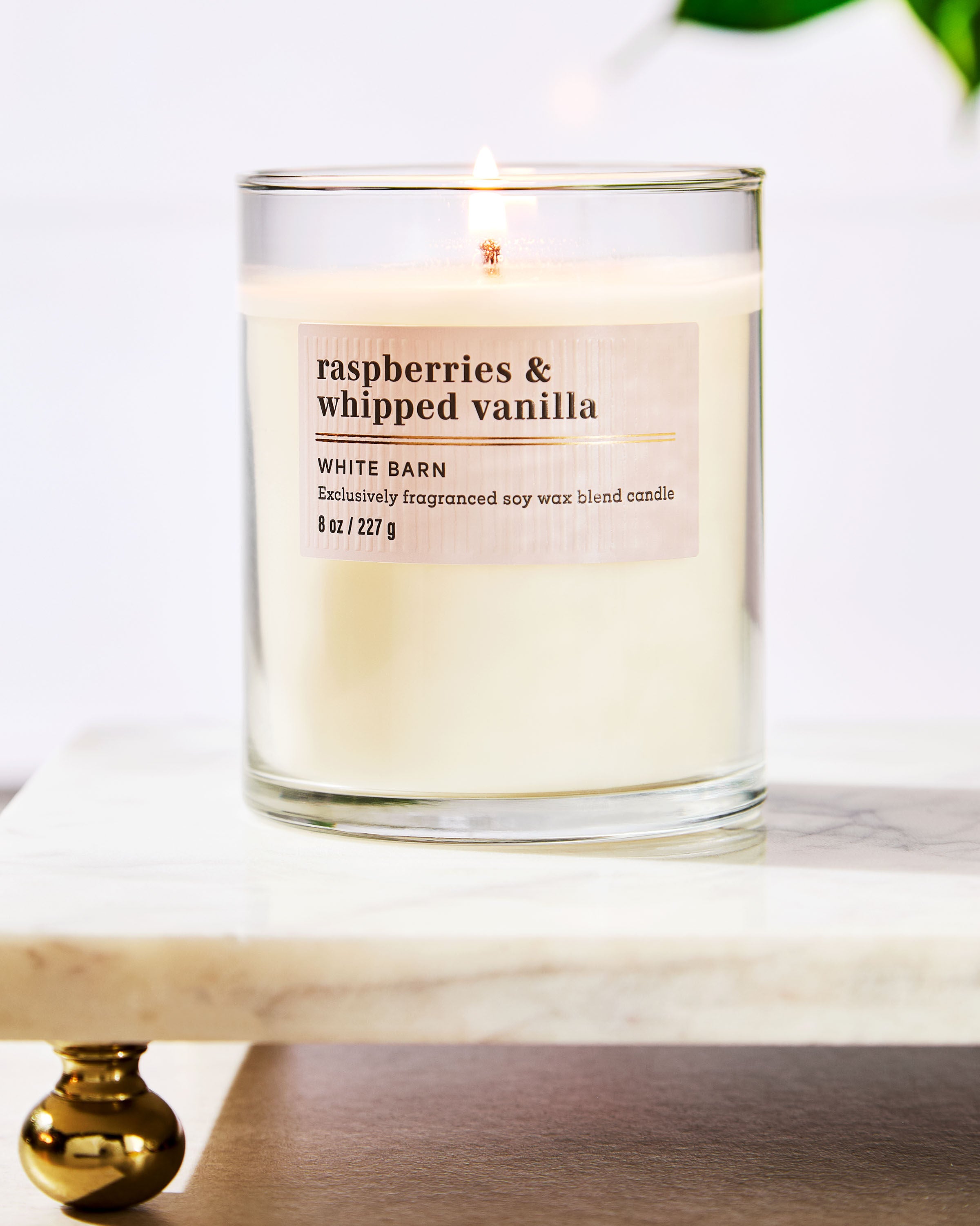 Single Wick Candle Raspberries & Whipped Vanilla 8 oz / 227 g - Image 6