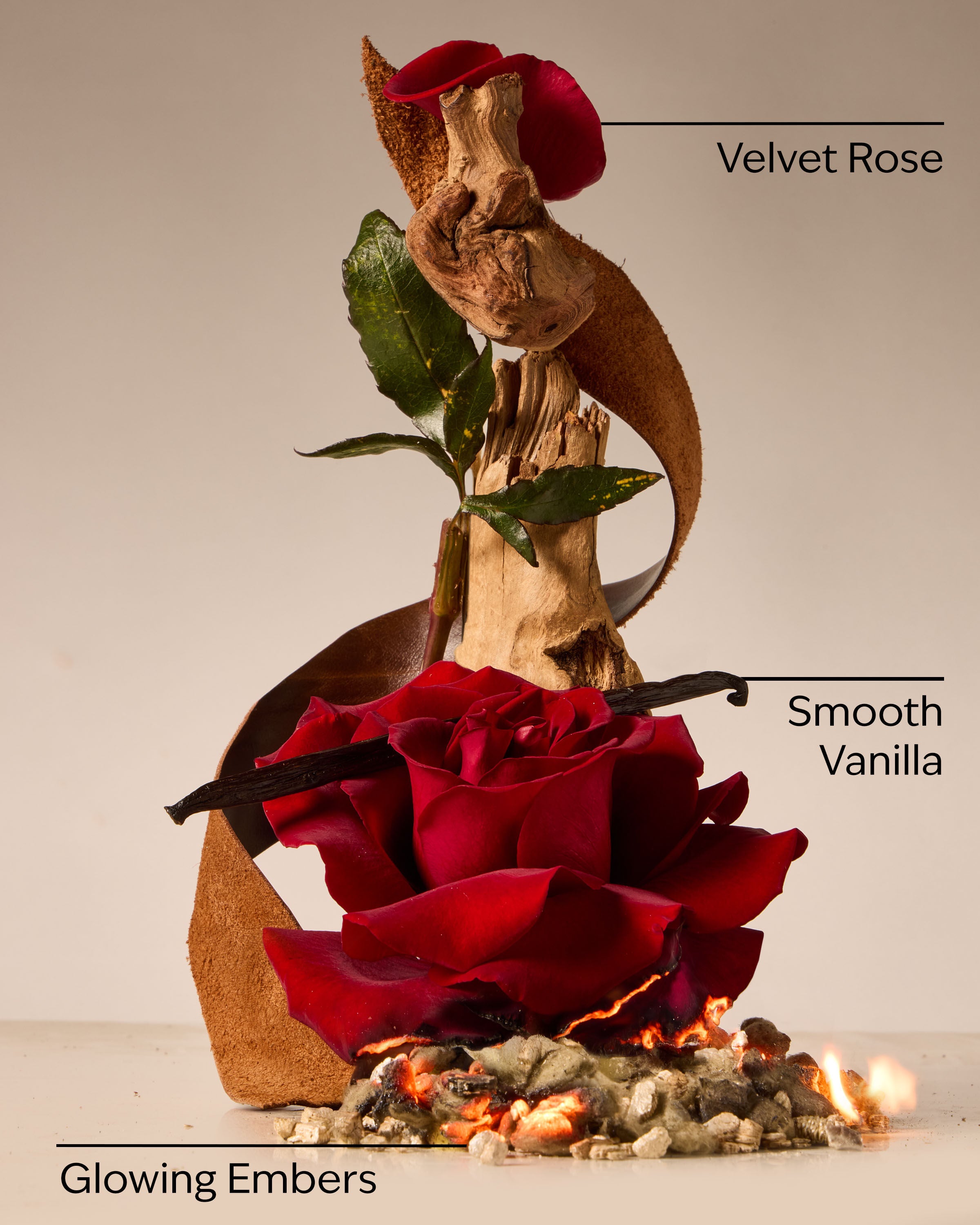 Single Wick Candle Rosewood & Suede 8 oz / 227 g - Image 3
