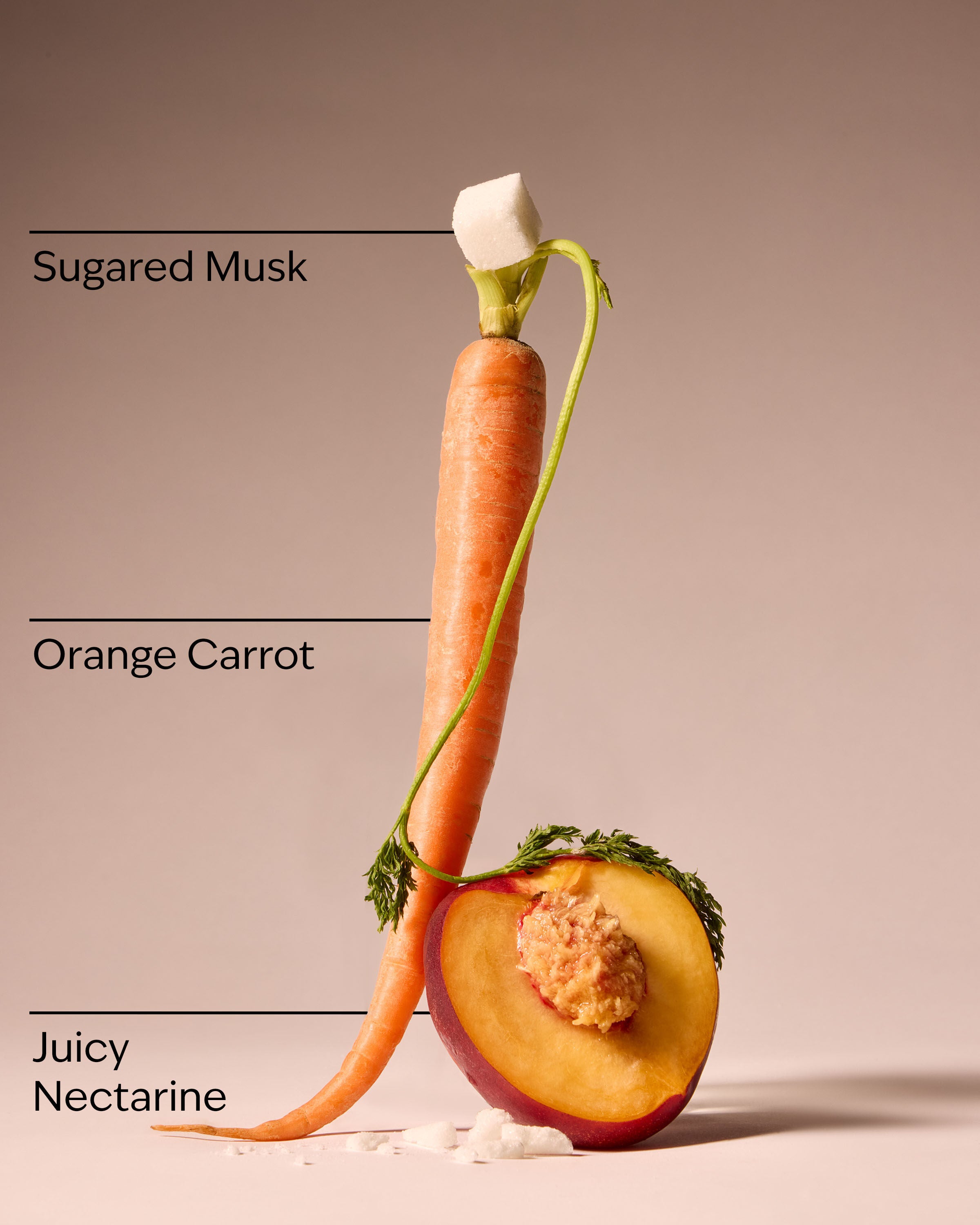Ultimate Hydration Body Cream Carrot Charm 8 oz / 226 g - Image 3