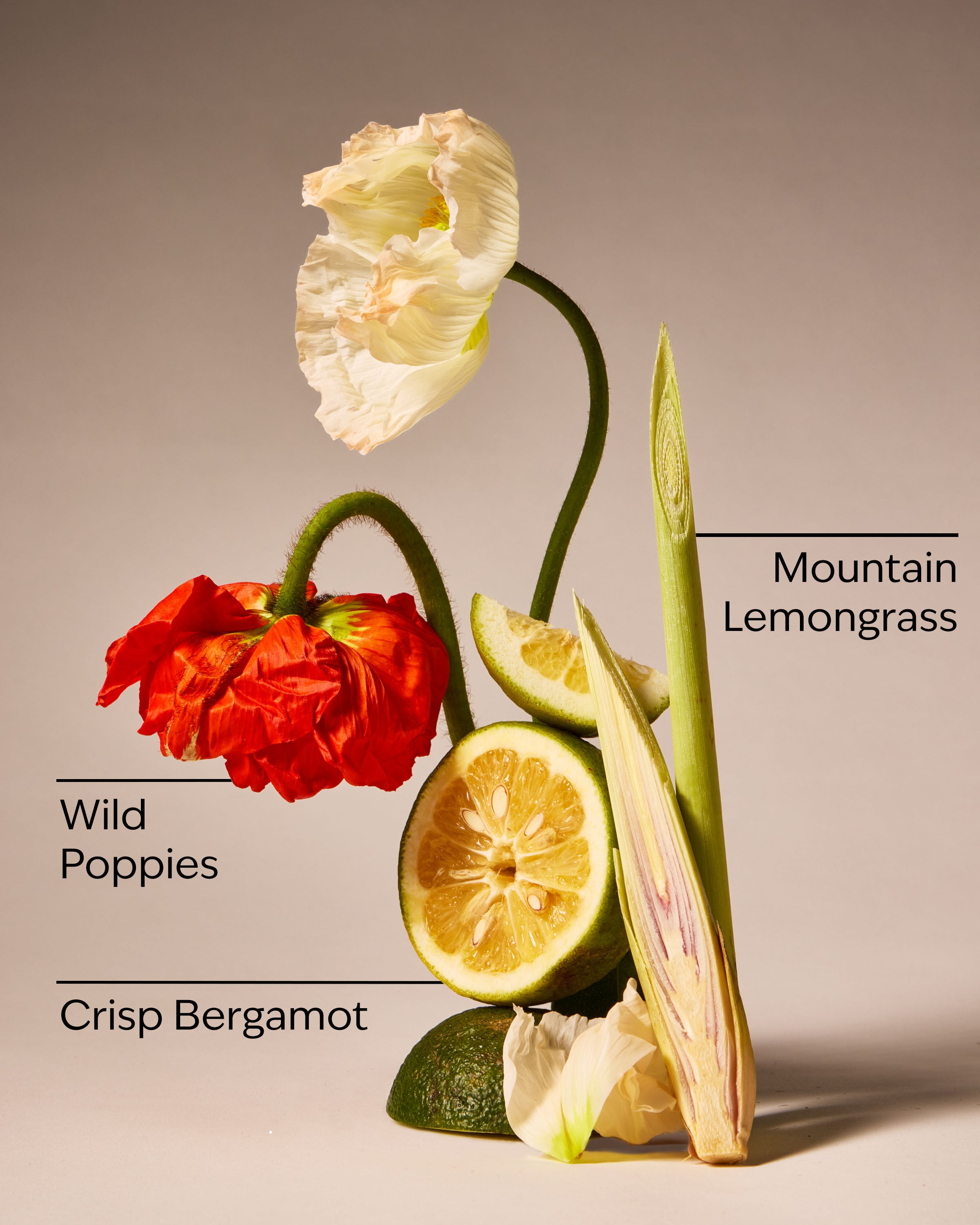 3-Wick Candle Mountainside Wildflower 14.5 oz / 411 g - Image 3