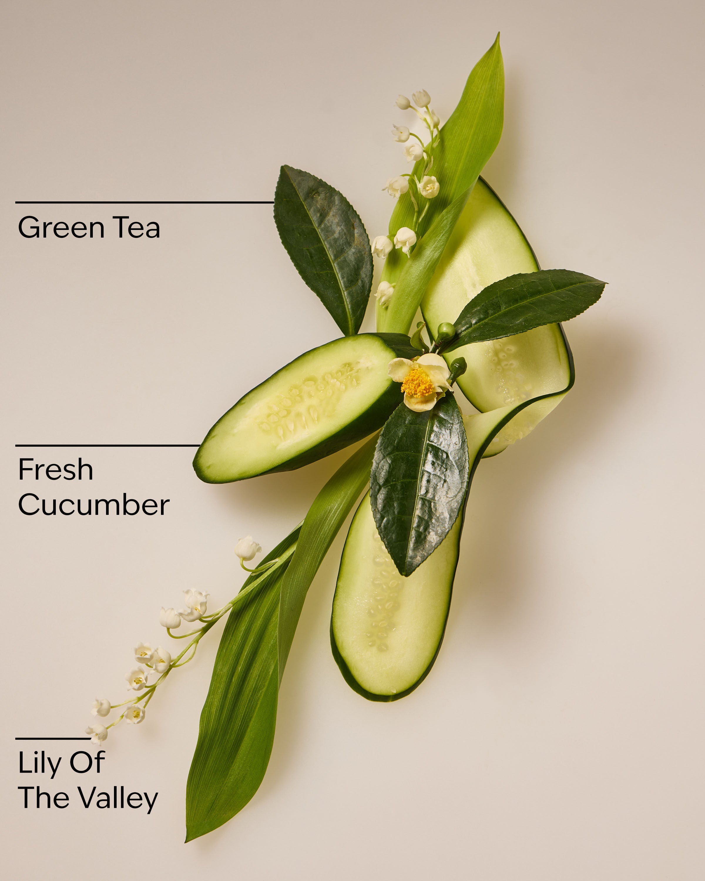 Daily Moisturizing Hand Soap Cucumber & Lily 9.0 fl oz/ 266 ml - Image 3