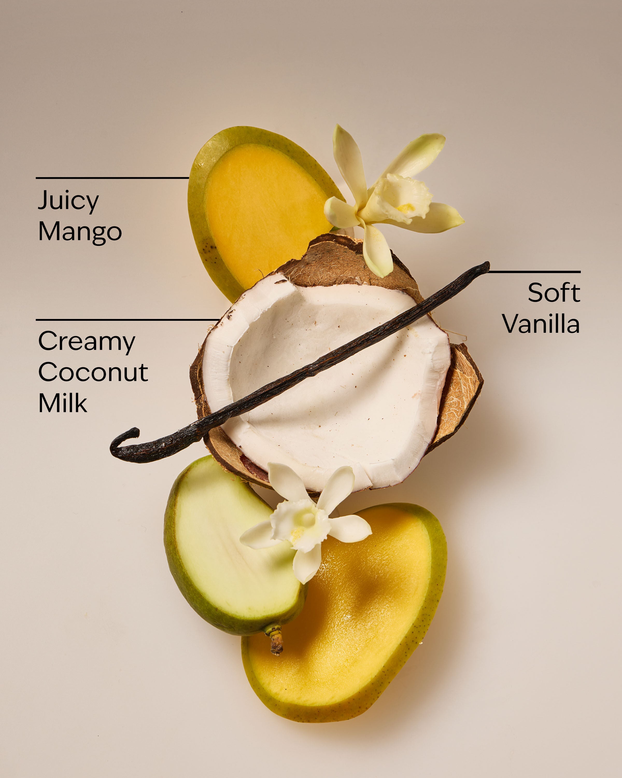 Daily Moisturizing Hand Soap Mango & Coconut Milk 9.0 fl oz/ 266 ml - Image 3