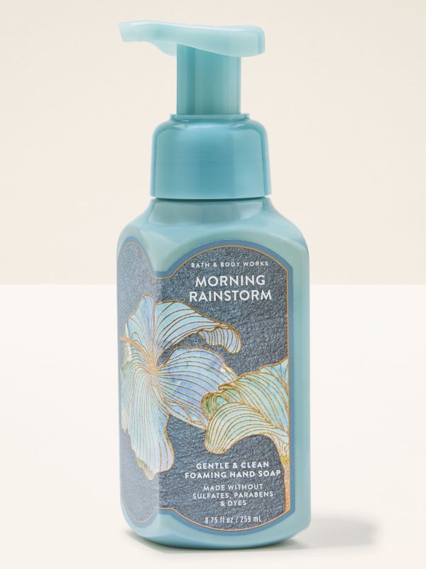 Gentle & Clean Foaming Hand Soap  Morning Rainstorm 8.75 fl oz / 259 ml