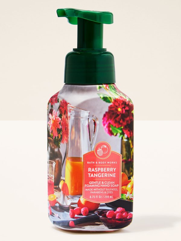 Gentle & Clean Foaming Hand Soap  Raspberry Tangerine 8.75 fl oz / 259 ml