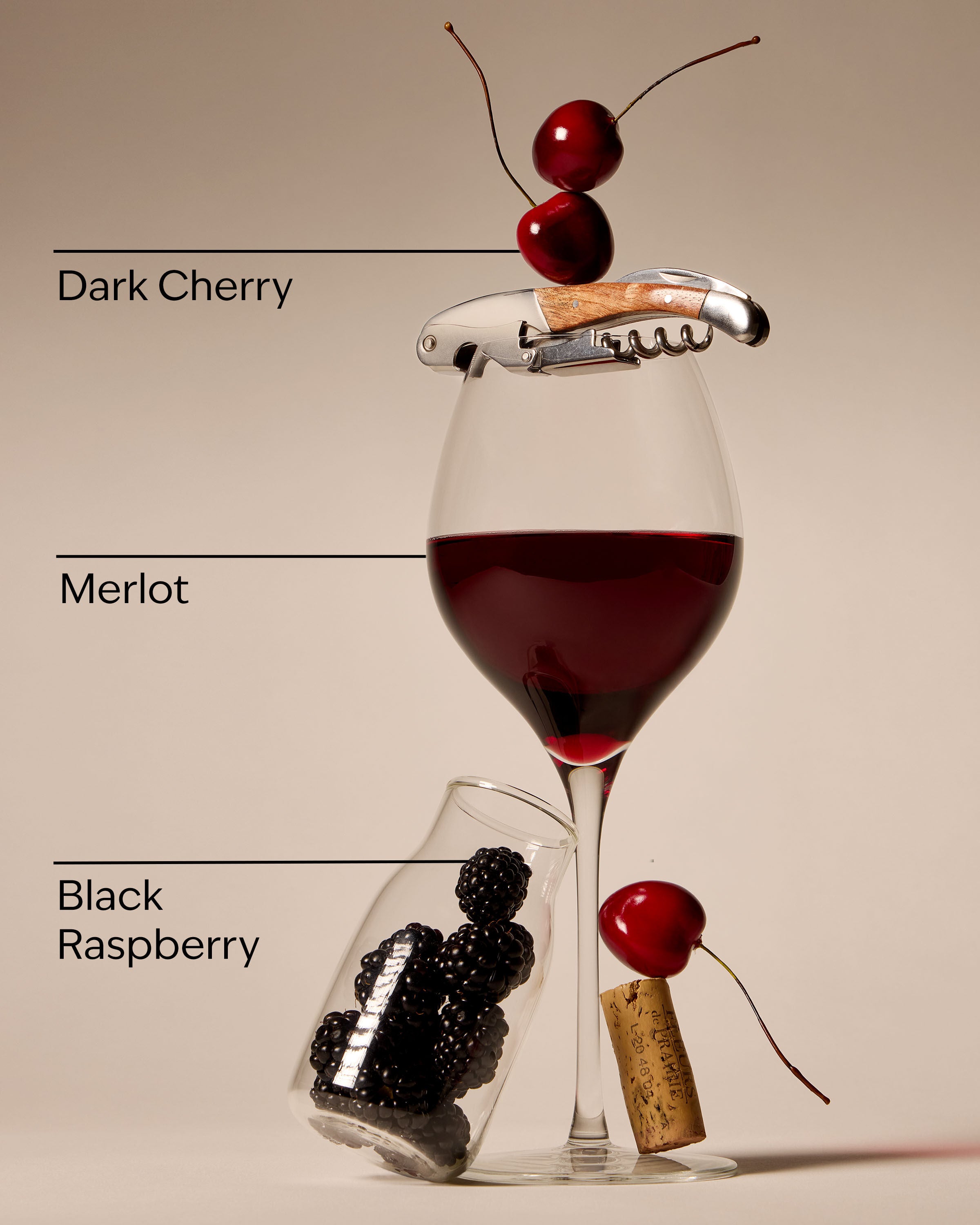 Lip Gloss Black Cherry Merlot 0.47 fl oz / 14 ml - Image 3