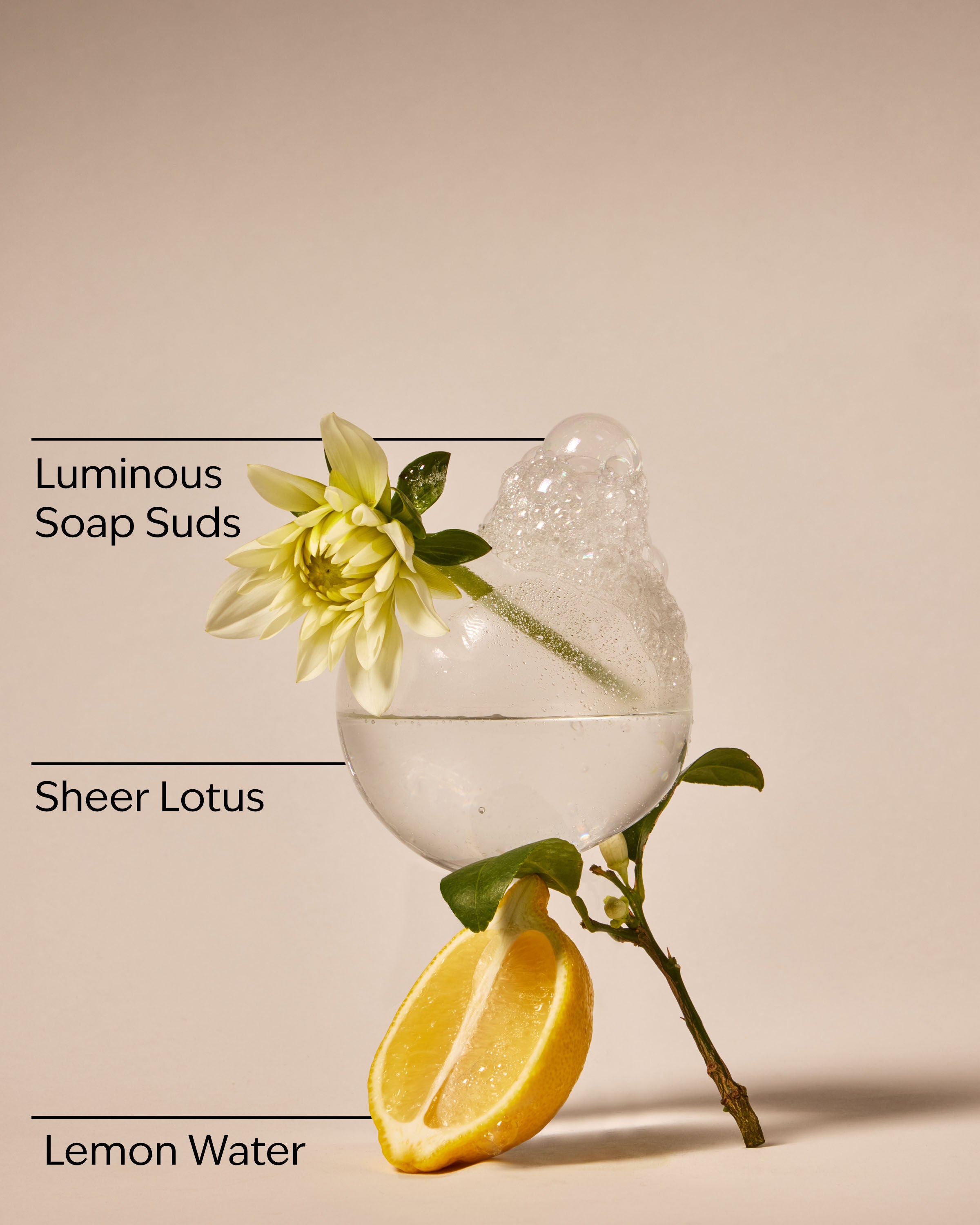 Wallflowers Refills 2-Pack Clean House Vibes - Sparkling Bubbles 2 fragrance bulbs 0.8 fl oz / 24 ml per bulb total net 1.6 fl oz / 48 ml - Image 3