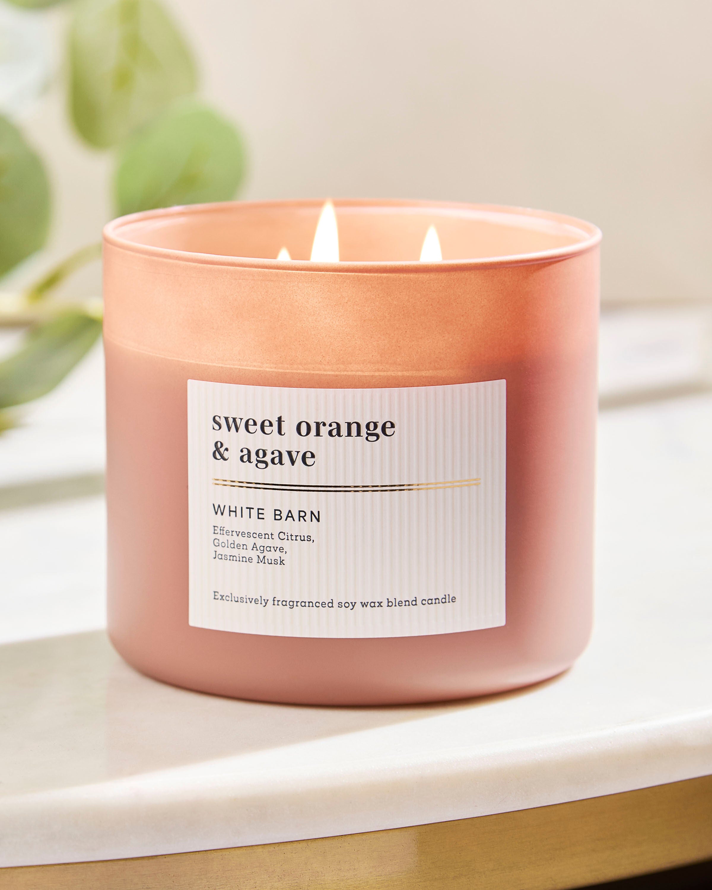 3-Wick Candle Sweet Orange & Agave 14.5 oz / 411 g - Image 6