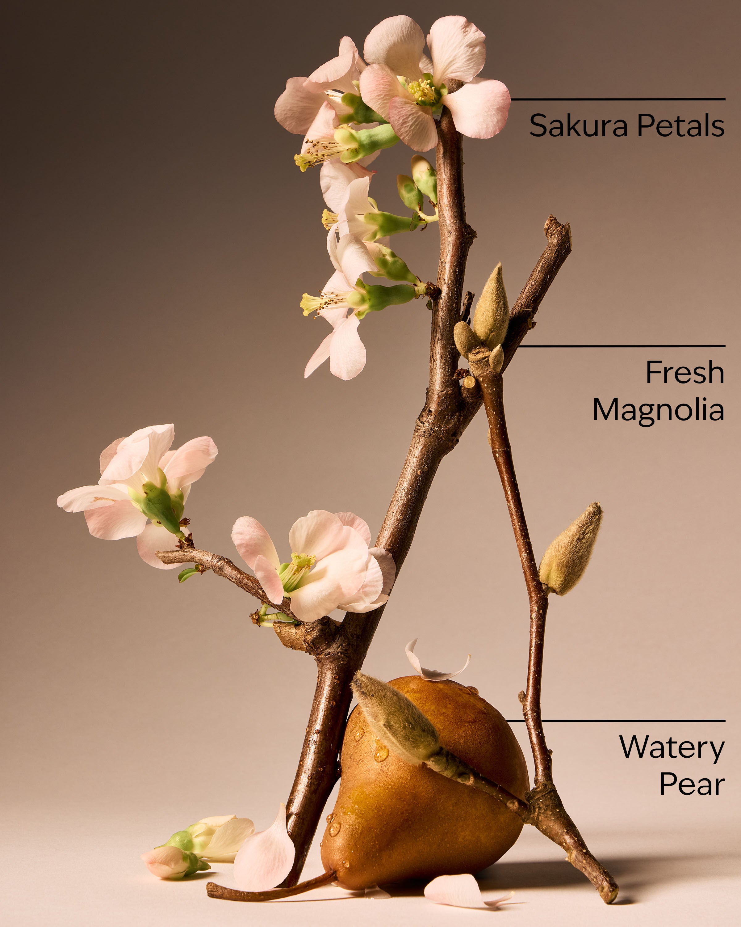 Eau De Parfum Forever Cherry Blossom 1.7 fl oz / 50 ml - Image 3