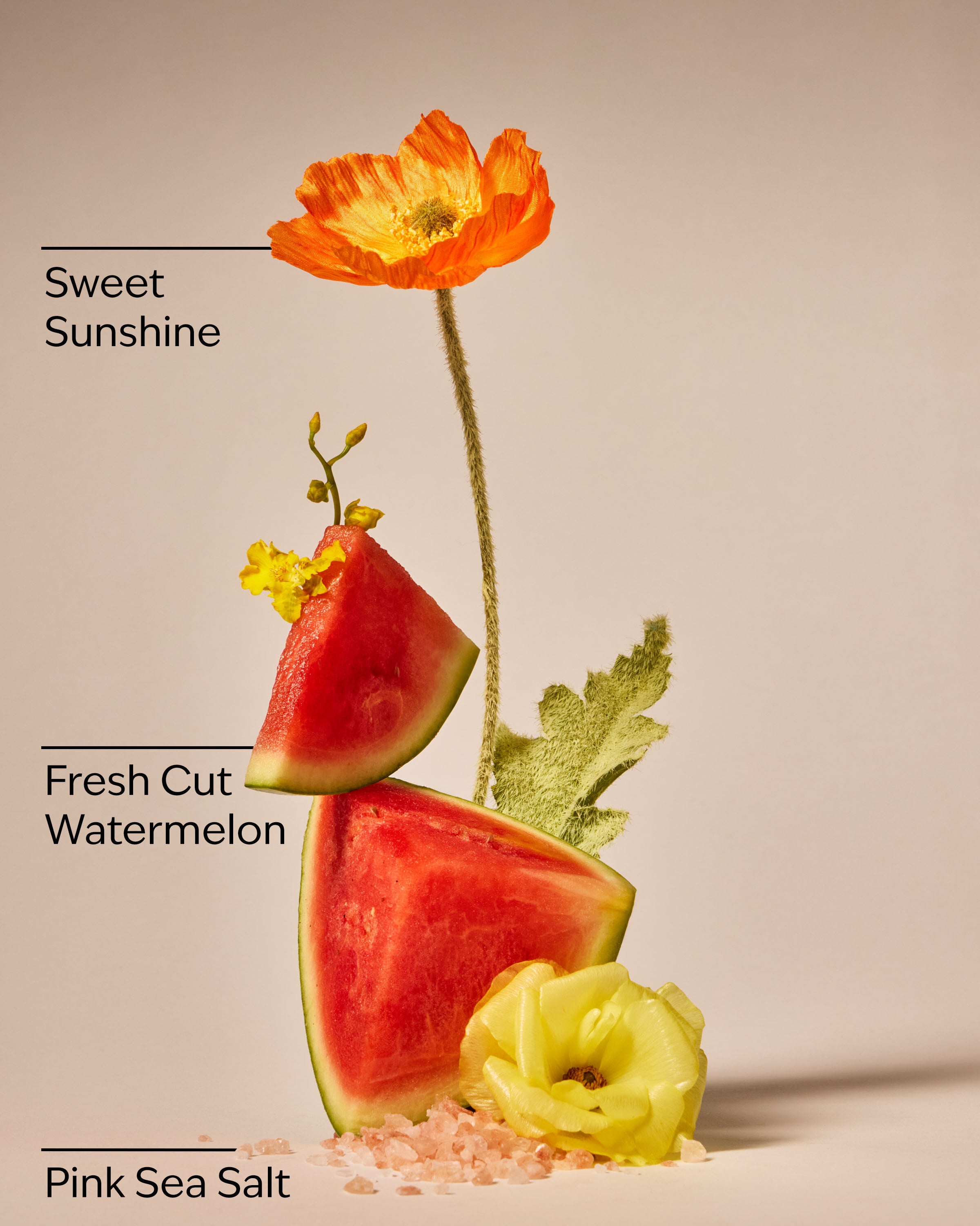 3-Wick Candle Fresh Watermelon 14.5 oz / 411 g - Image 3