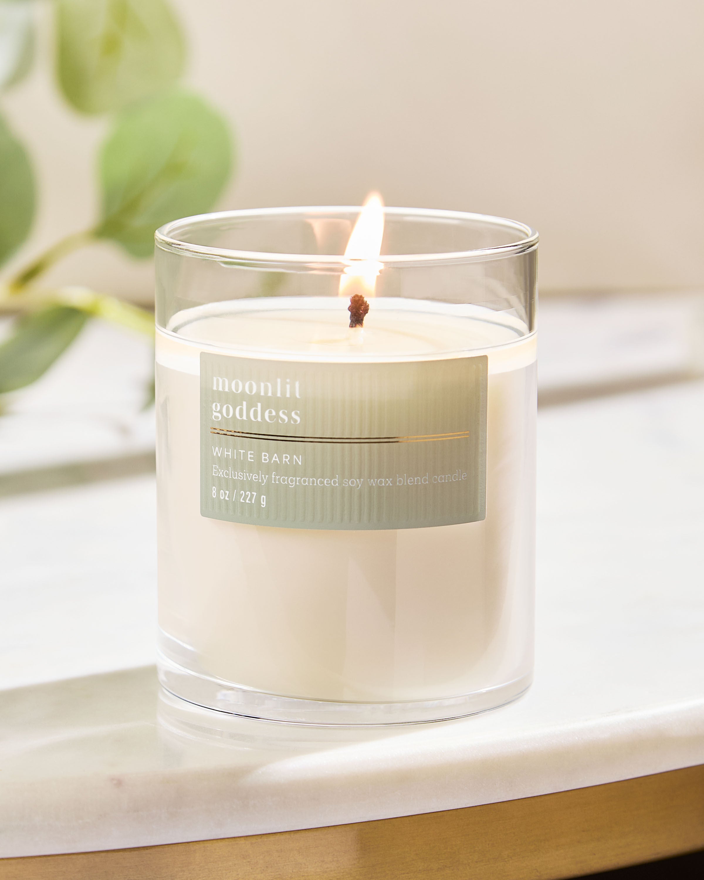 Single Wick Candle Moonlit Goddess 8 oz / 227 g - Image 6