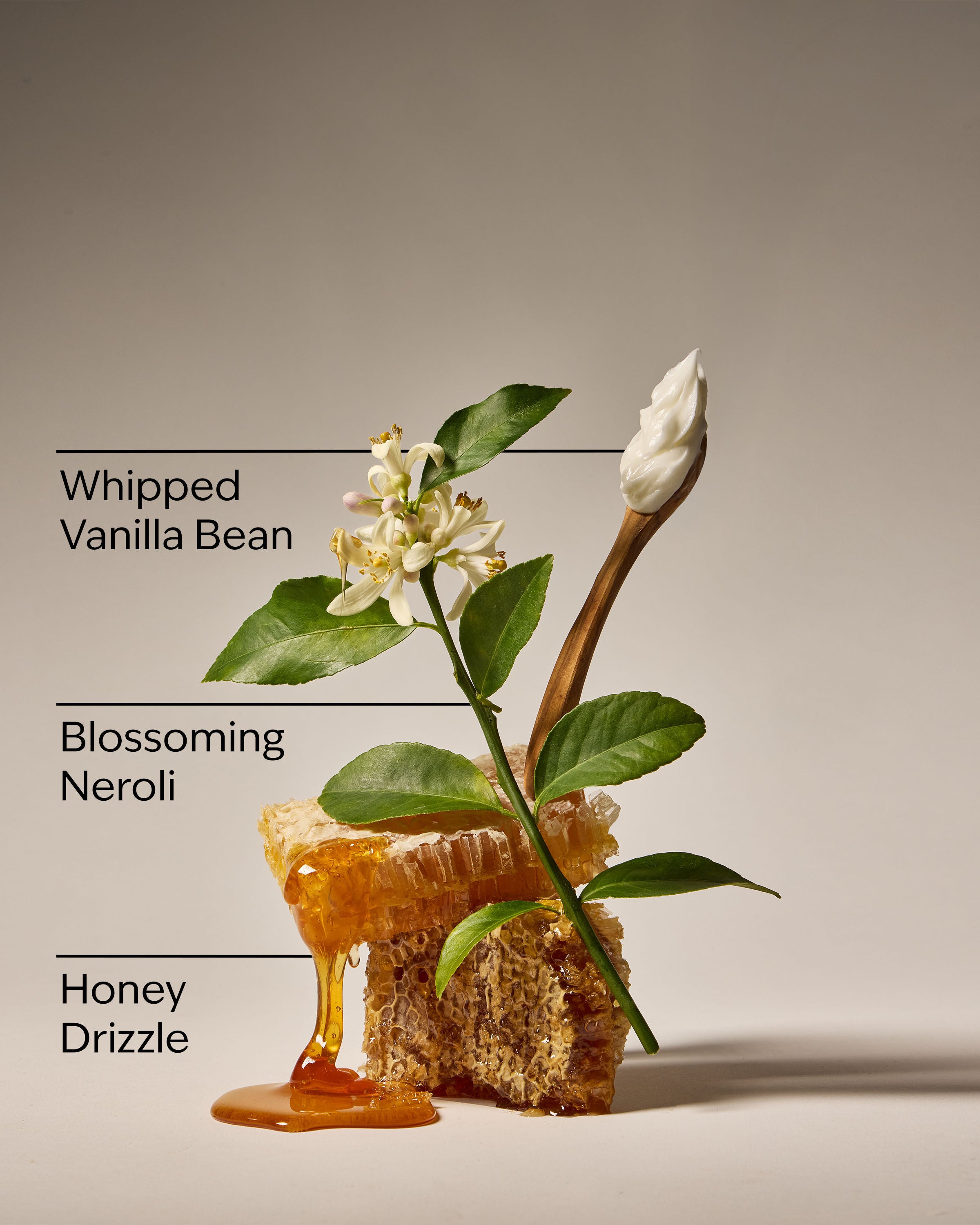 Concentrated Room Spray Whipped Honey & Vanilla 1.5 oz / 42.5 g - Image 3