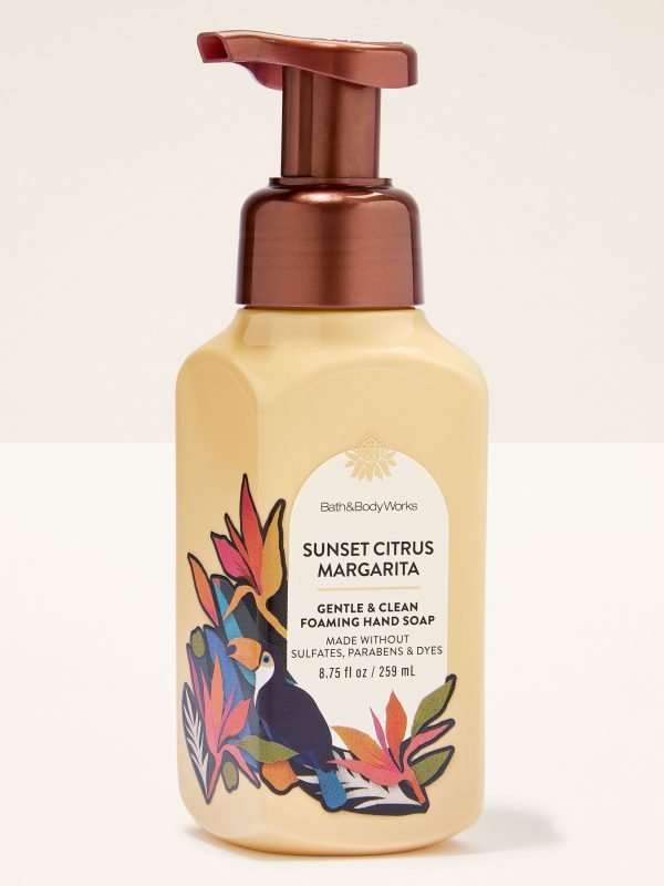 Gentle & Clean Foaming Hand Soap  Sunset Citrus Margarita 8.75 fl oz / 259 ml