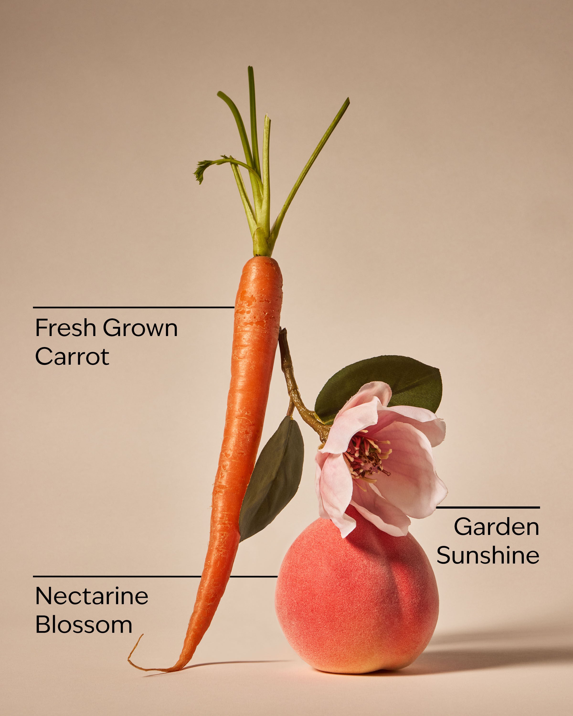 3-Wick Candle Carrot & Nectarine 14.5 oz / 411 g - Image 3
