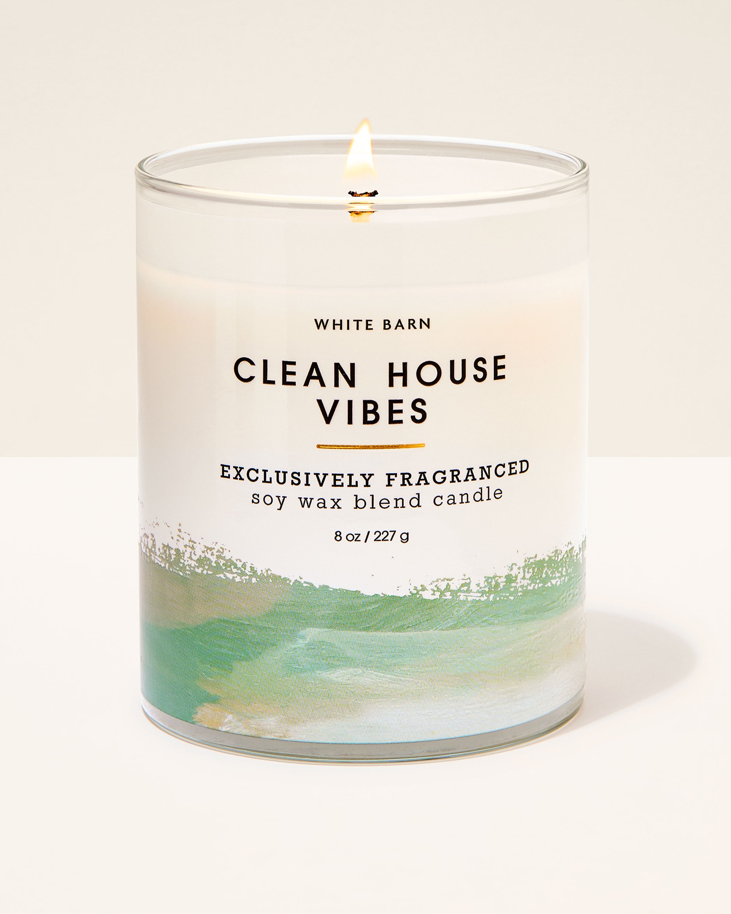 Single Wick Candle Clean House Vibes