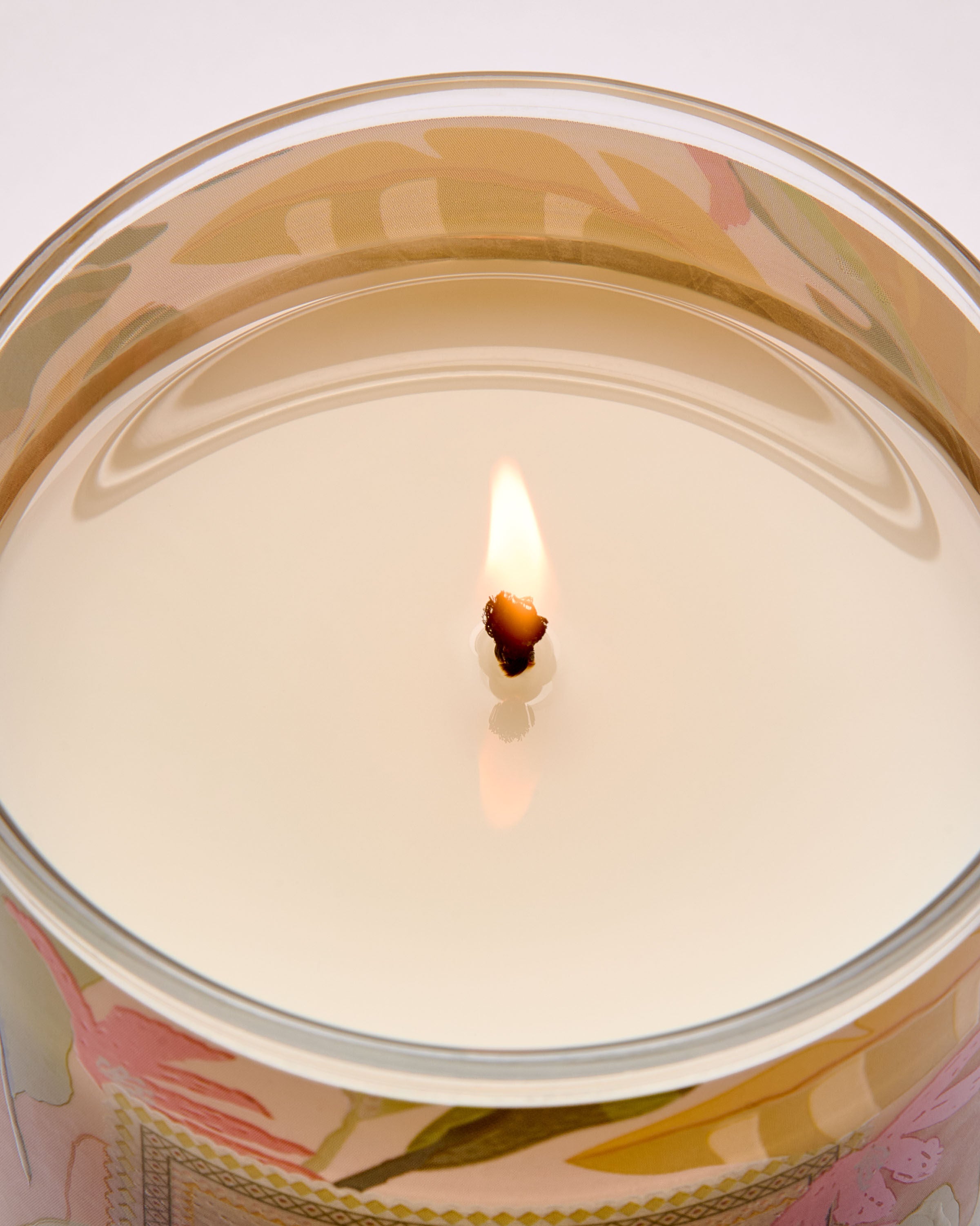 Single Wick Candle Coconut Piña Colada 8 oz / 227 g - Image 5