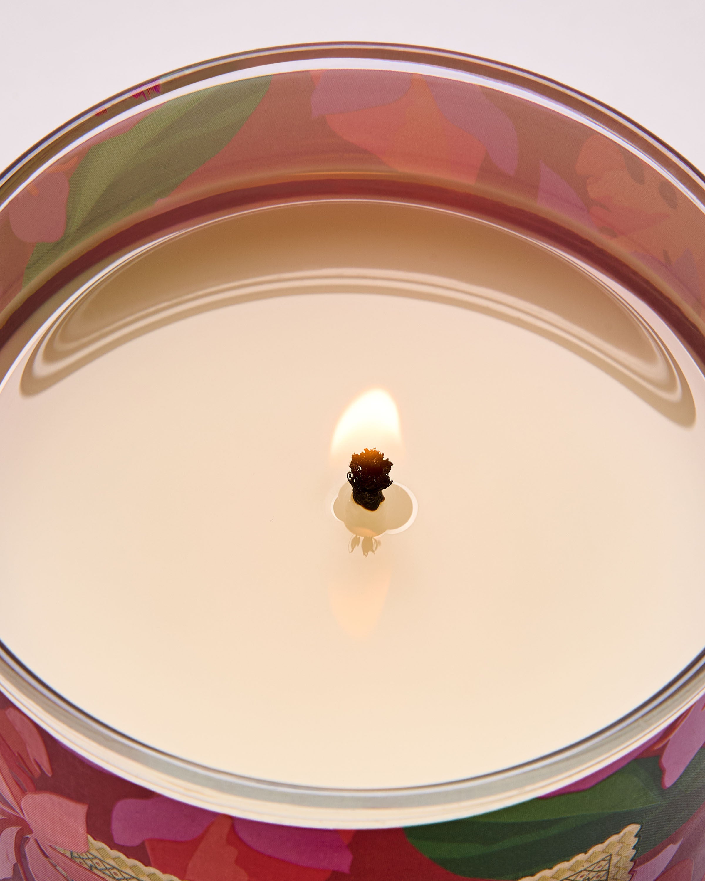 Single Wick Candle Viva Brazil 8 oz / 227 g - Image 5