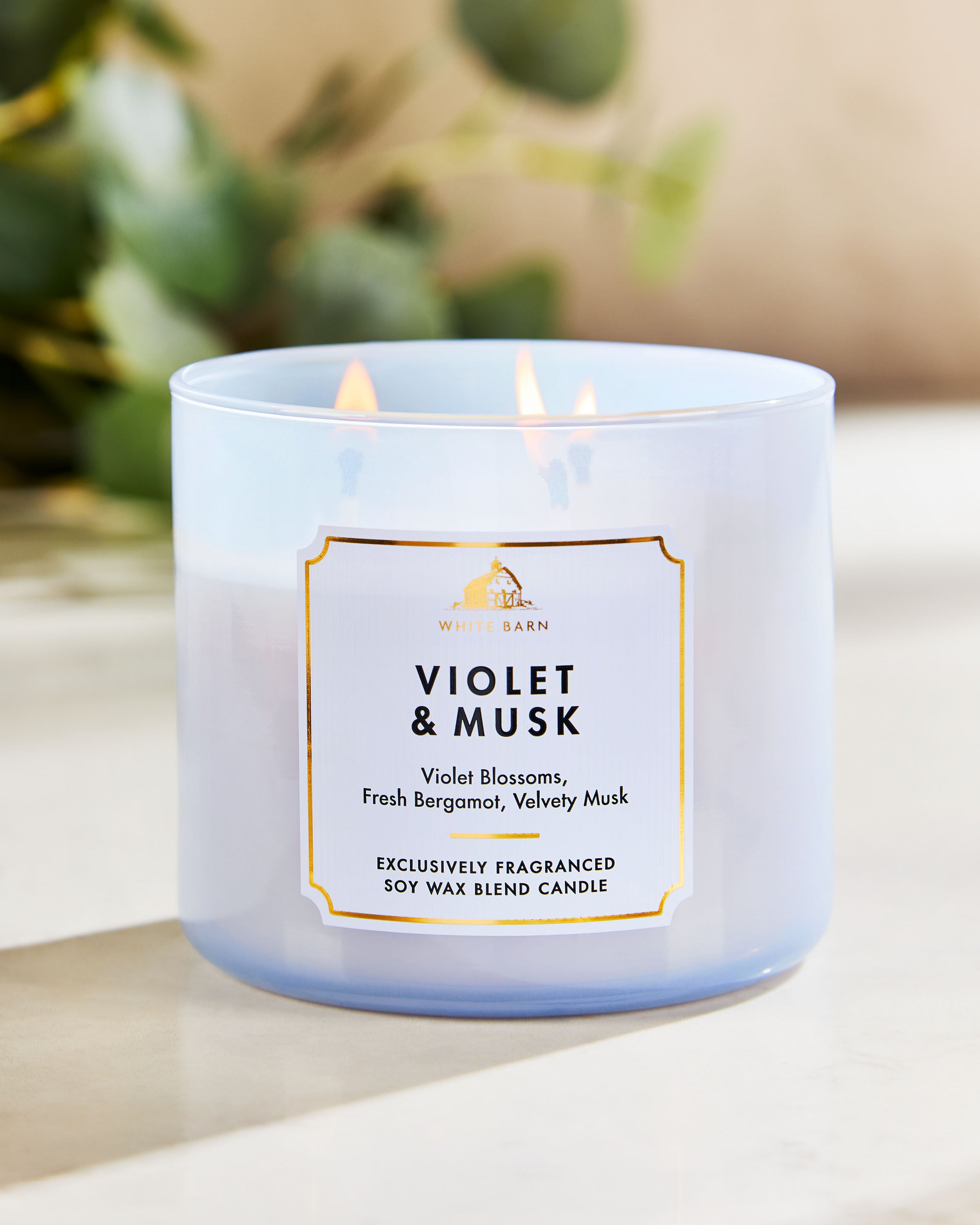 3-Wick Candle Violet & Musk 14.5 oz / 411 g - Image 6