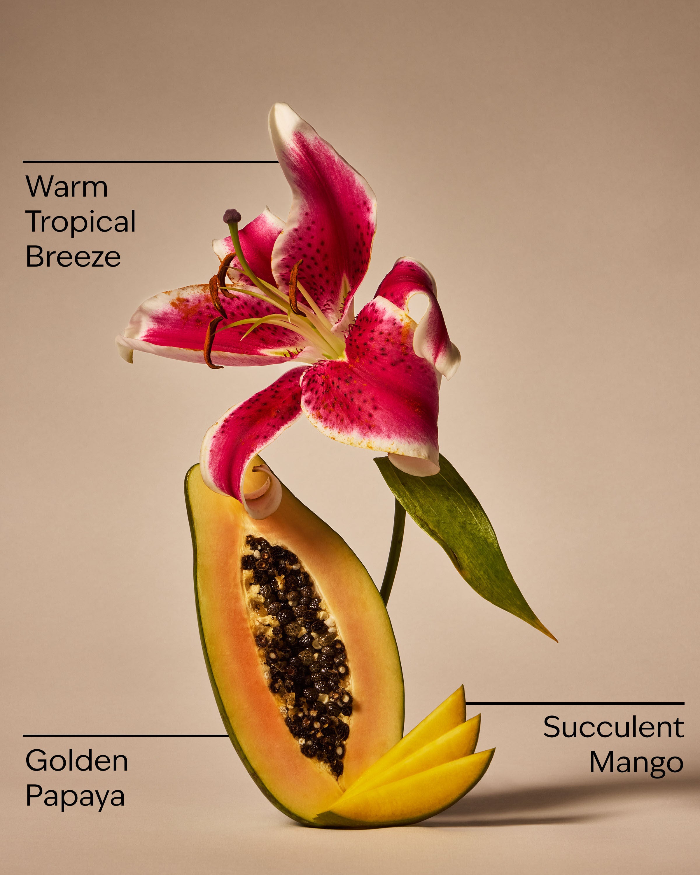 3-Wick Candle Mango Papaya Paradise 14.5 oz / 411 g - Image 3