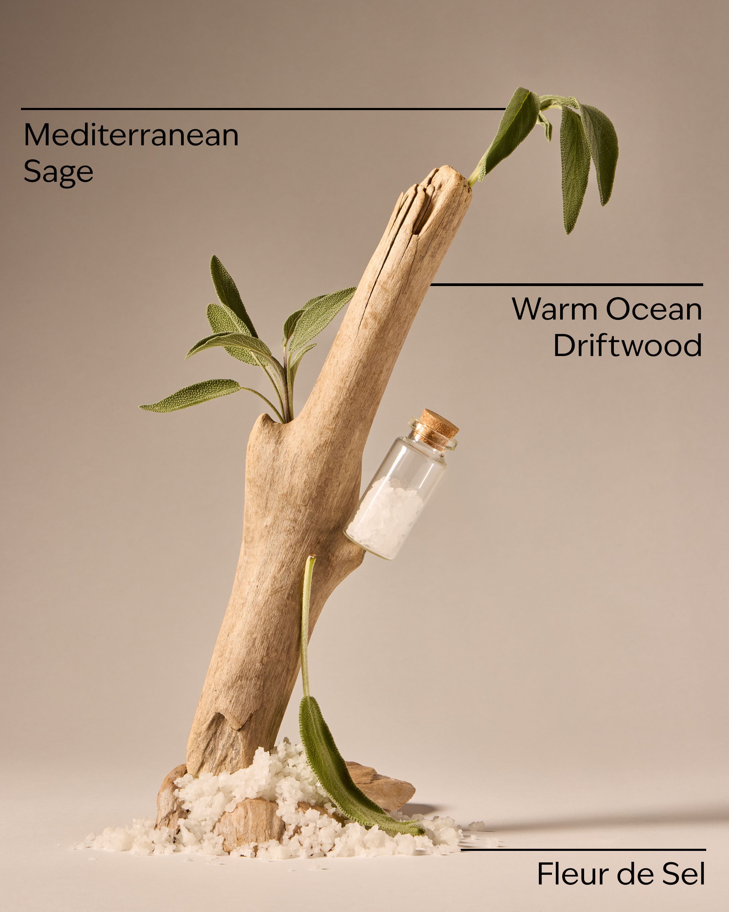 Concentrated Room Spray Sea Salt & Driftwood 1.5 oz / 42.5 g - Image 3