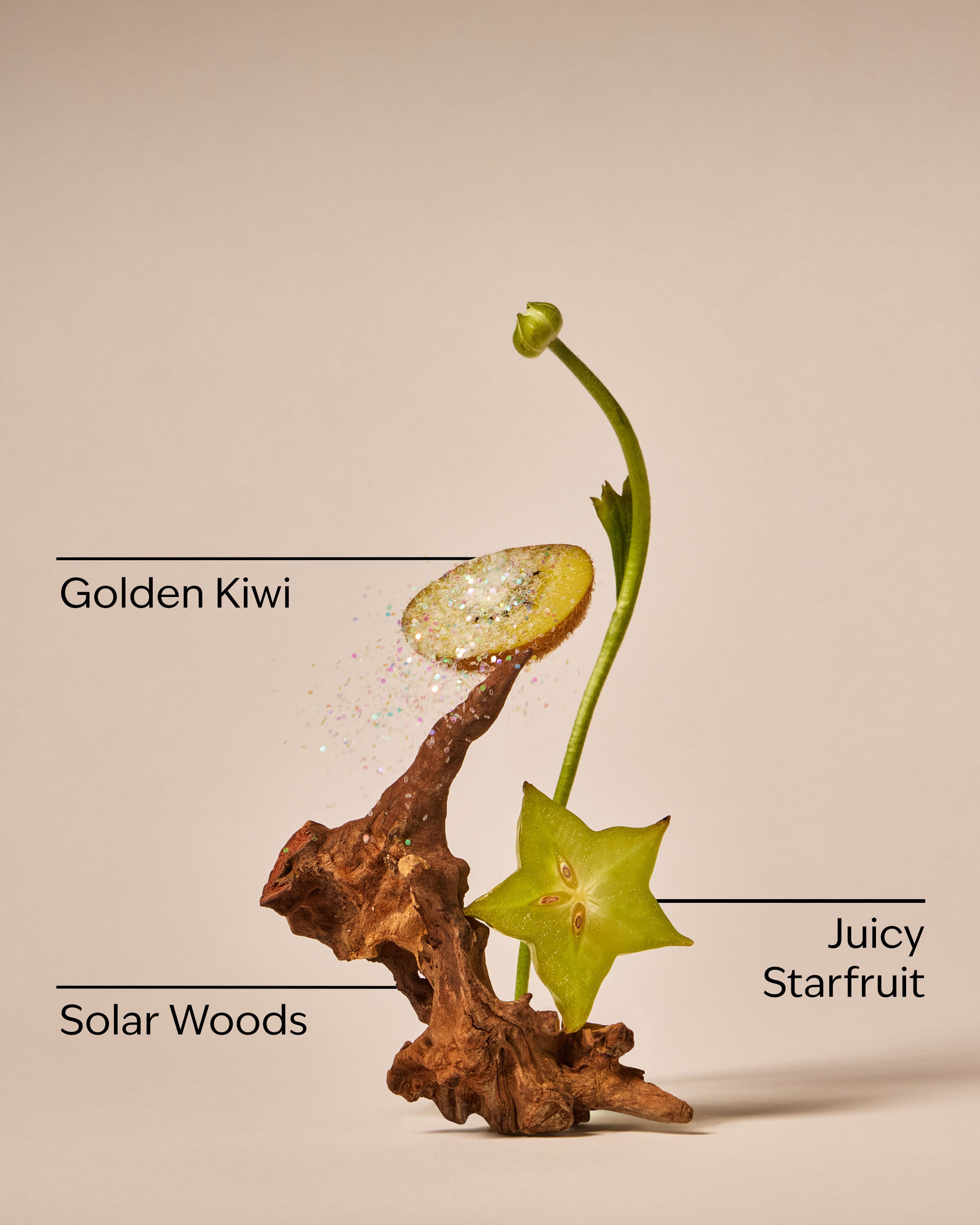 Wallflowers Refills 2-Pack Sweet Kiwi & Starfruit 2 fragrance bulbs 0.8 fl oz / 24 ml per bulb total net 1.6 fl oz / 48 ml - Image 3