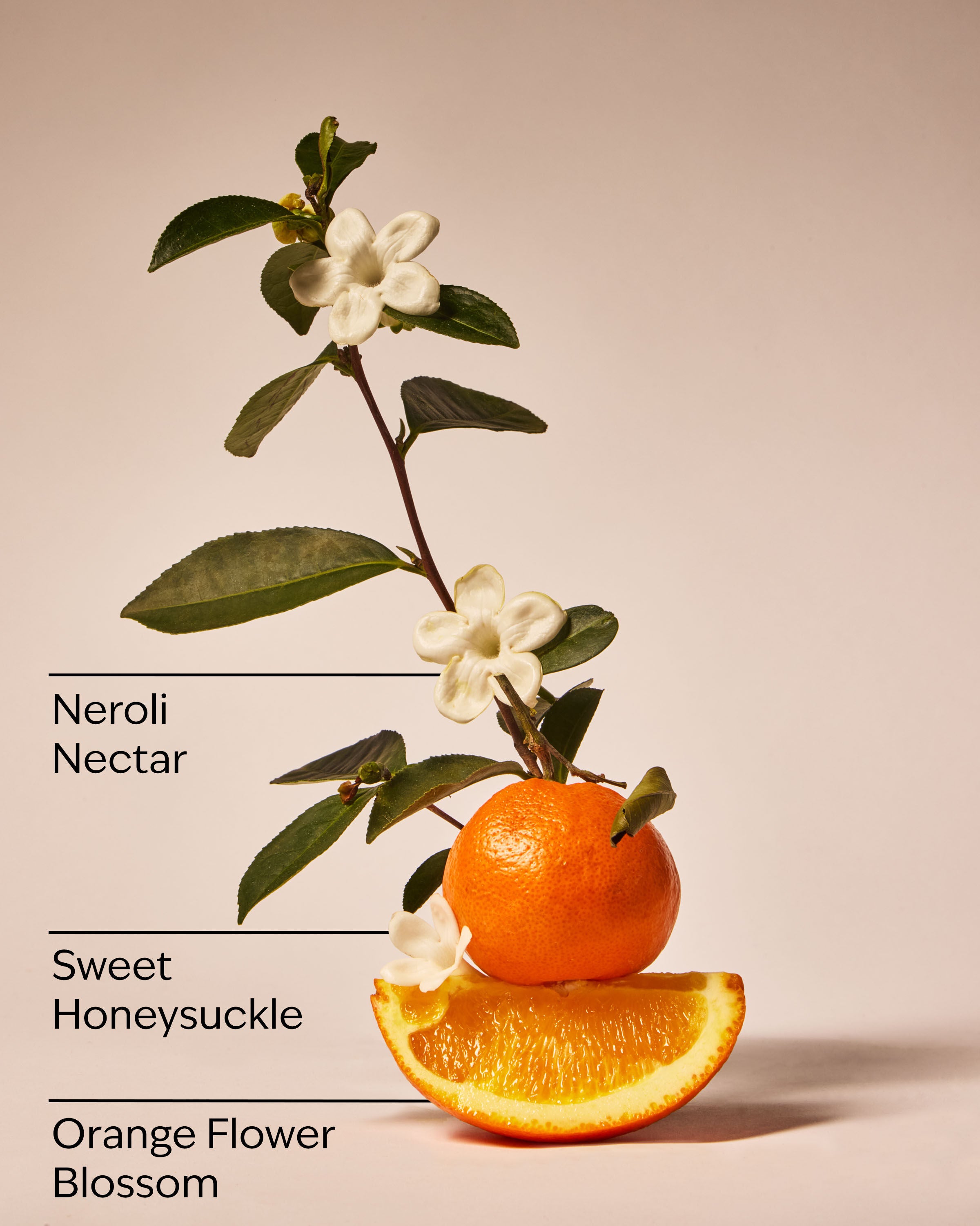 Concentrated Room Spray Backyard Honeysuckle 1.5 oz / 42.5 g - Image 3