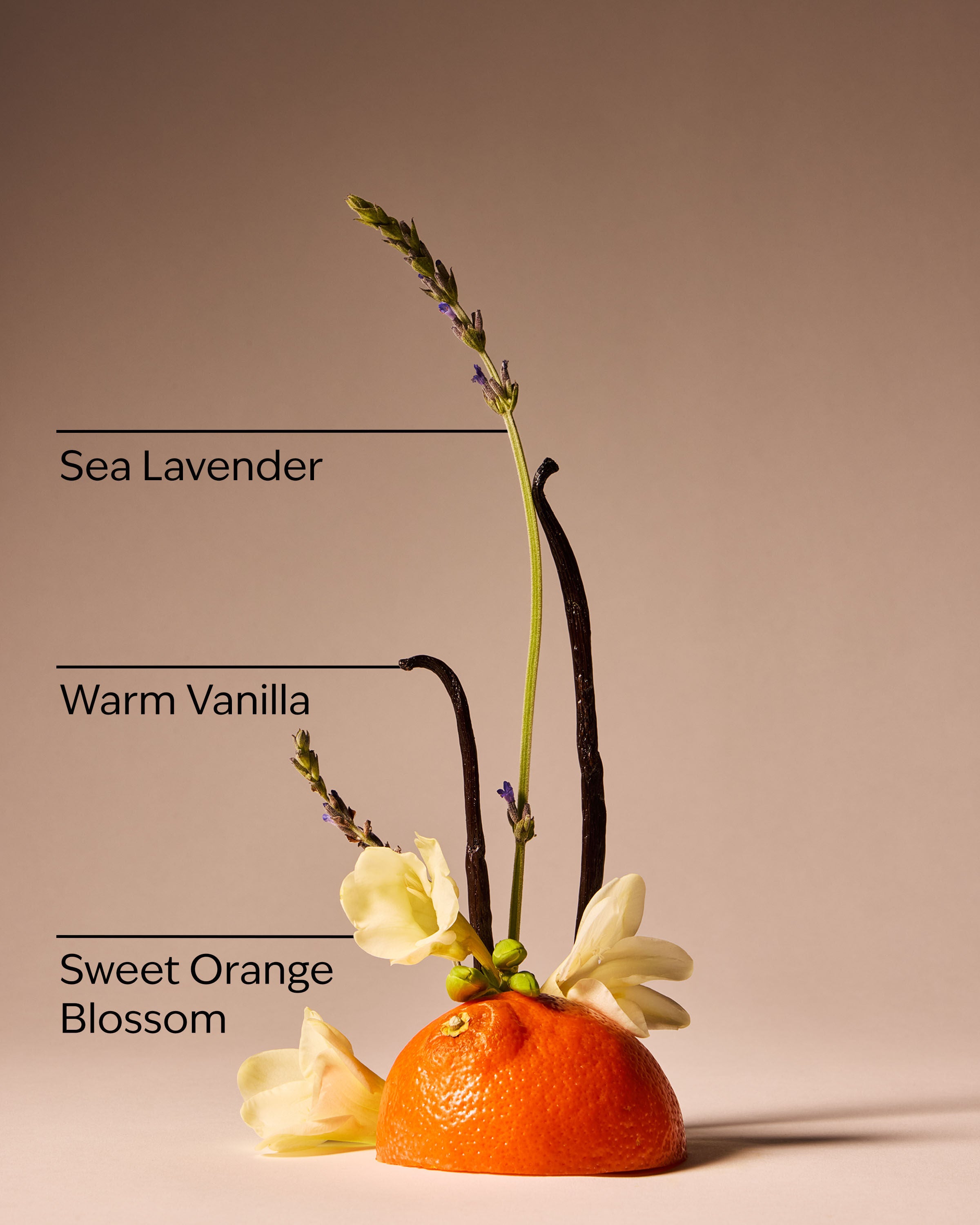 Gentle & Clean Foaming Hand Soap Sweet Orange Blossom 8.75 fl oz / 259 ml - Image 3