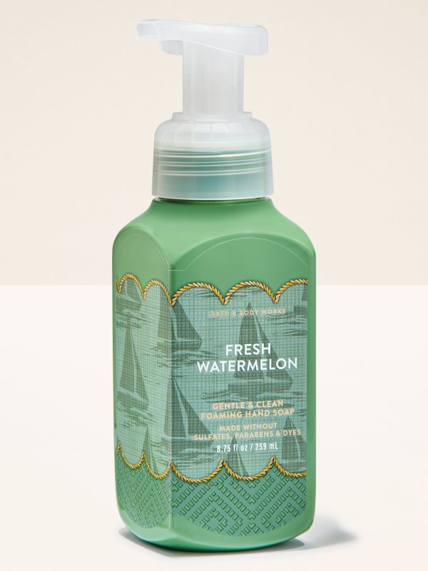 Gentle & Clean Foaming Hand Soap  Fresh Watermelon 8.75 fl oz / 259 ml