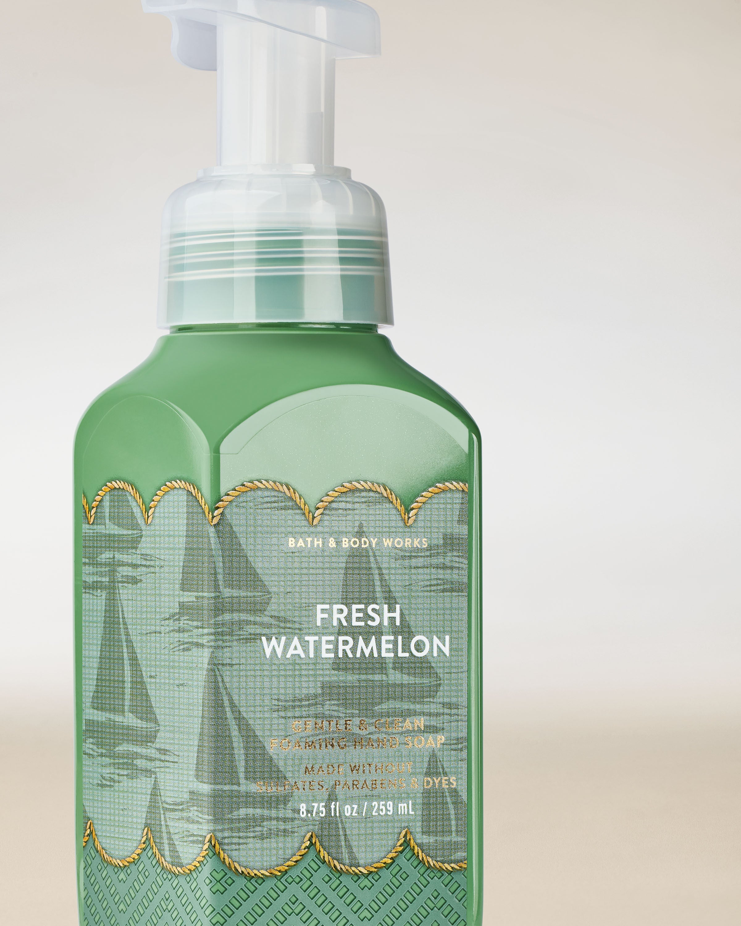 Gentle & Clean Foaming Hand Soap Fresh Watermelon 8.75 fl oz / 259 ml - Image 2