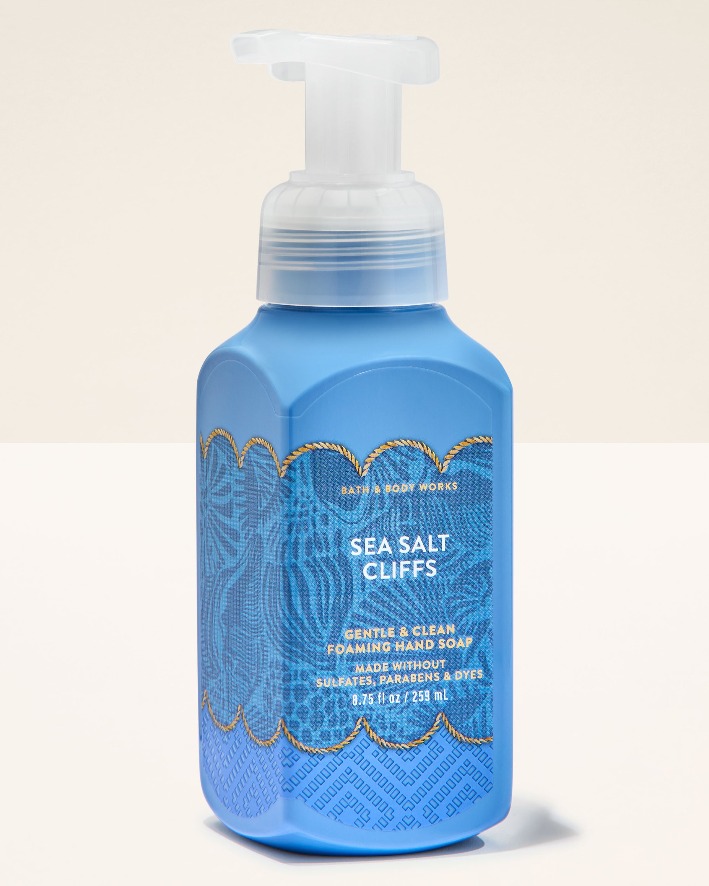 Gentle & Clean Foaming Hand Soap Sea Salt Cliffs 8.75 fl oz / 259 ml