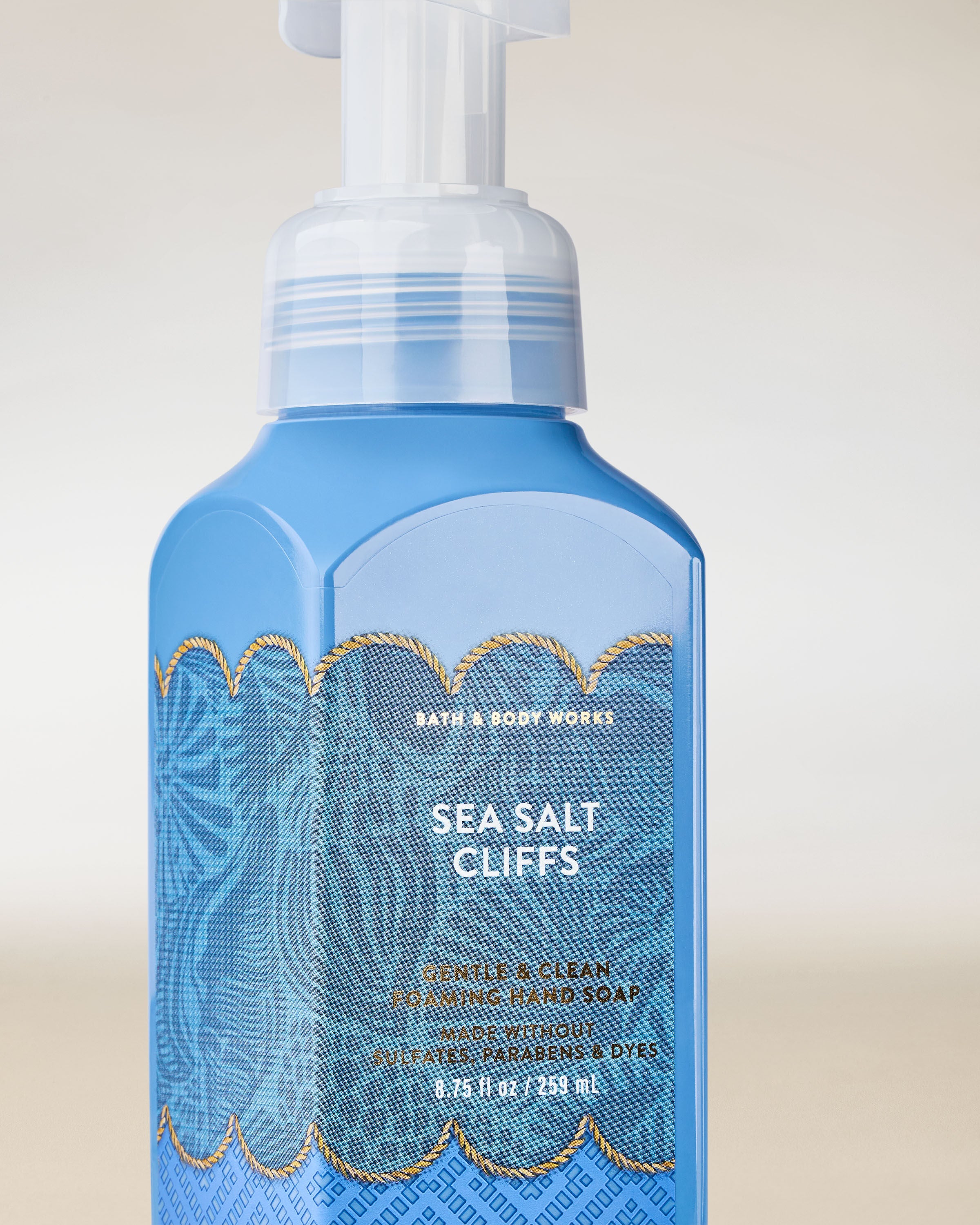 Gentle & Clean Foaming Hand Soap Sea Salt Cliffs 8.75 fl oz / 259 ml - Image 2