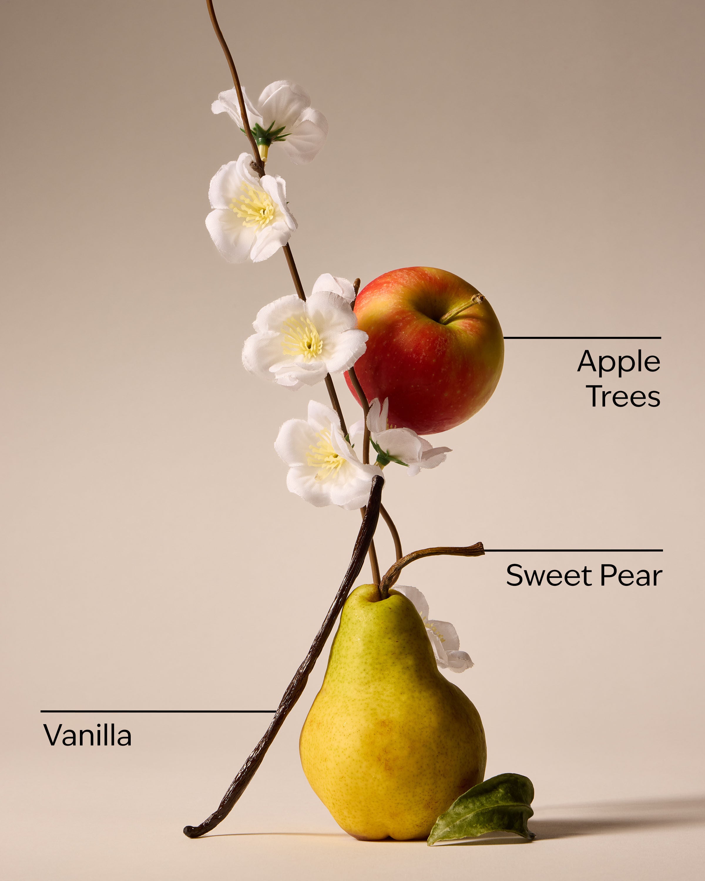 Car Fragrance Refill Spring Apple 0.2 fl oz / 6 ml - Image 3