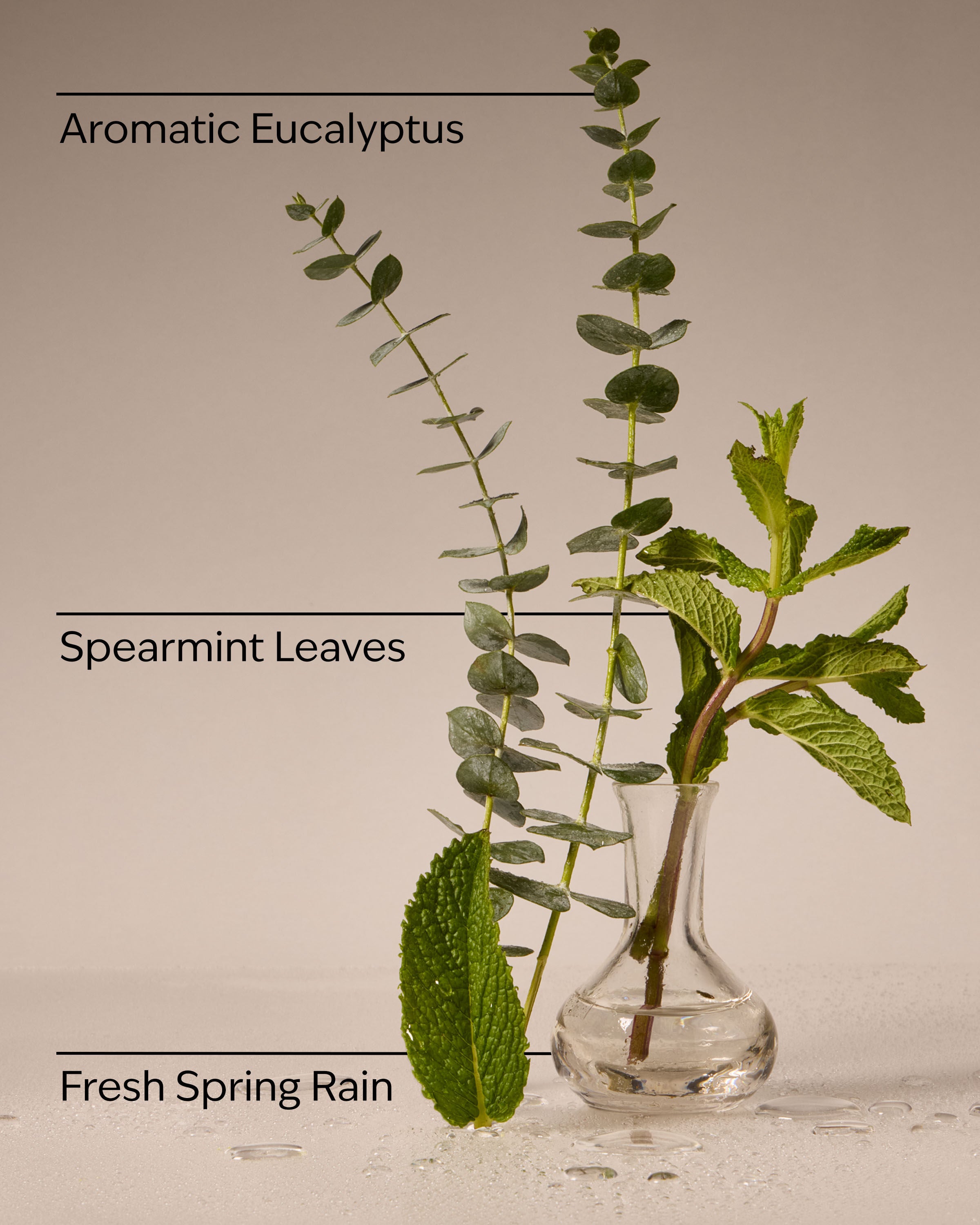 Concentrated Room Spray Eucalyptus Rain 1.5 oz / 42.5 g - Image 4