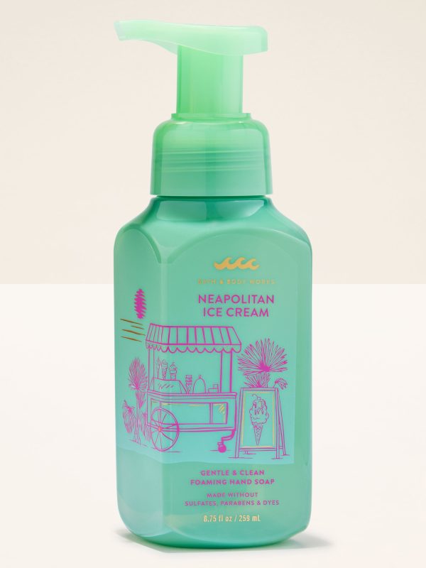 Gentle & Clean Foaming Hand Soap  Neapolitan Ice Cream 8.75 fl oz / 259 ml